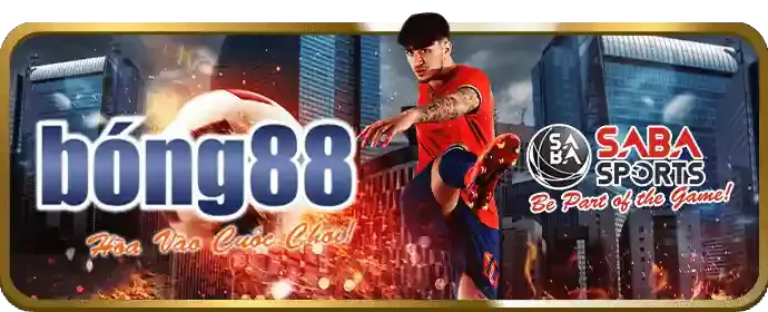 Cá cược quần vợt 666win